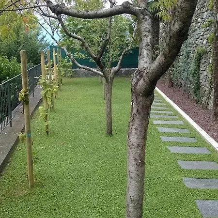 公寓 Domus Cusiana Complesso Vista E Piscina